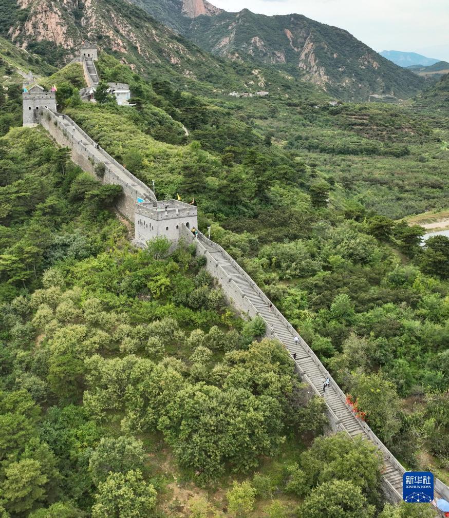 永利打鱼平台